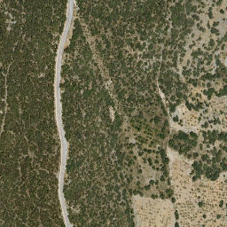 Satellite imagery of survey_point, DZ