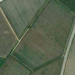 Satellite imagery of survey_point, DZ