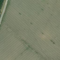 Satellite imagery of survey_point, DZ