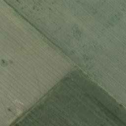 Satellite imagery of survey_point, DZ