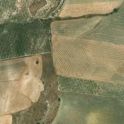 Satellite imagery of survey_point, DZ