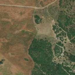 Satellite imagery of survey_point, DZ