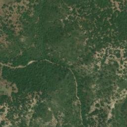 Satellite imagery of survey_point, DZ