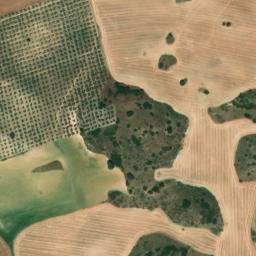 Satellite imagery of survey_point, DZ