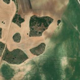 Satellite imagery of survey_point, DZ