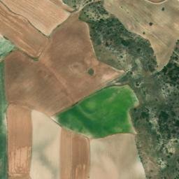 Satellite imagery of survey_point, DZ