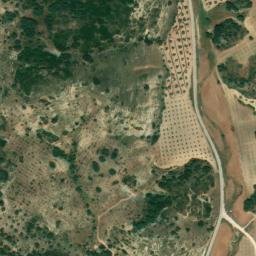 Satellite imagery of survey_point, DZ
