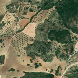 Satellite imagery of survey_point, DZ