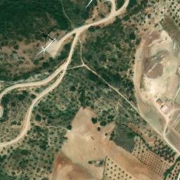 Satellite imagery of survey_point, DZ