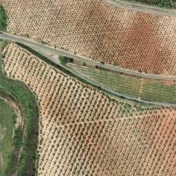 Satellite imagery of survey_point, DZ