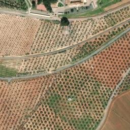 Satellite imagery of survey_point, DZ