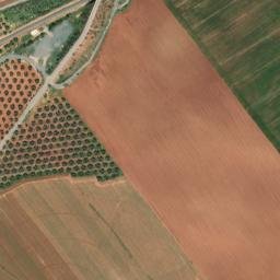 Satellite imagery of survey_point, DZ