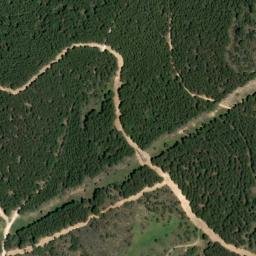Satellite imagery of survey_point, DZ