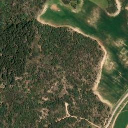 Satellite imagery of survey_point, DZ
