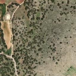 Satellite imagery of survey_point, DZ