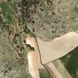 Satellite imagery of survey_point, DZ