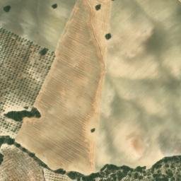 Satellite imagery of survey_point, DZ