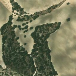 Satellite imagery of survey_point, DZ