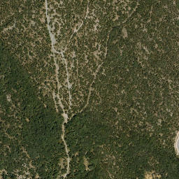 Satellite imagery of survey_point, DZ