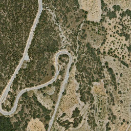 Satellite imagery of survey_point, DZ
