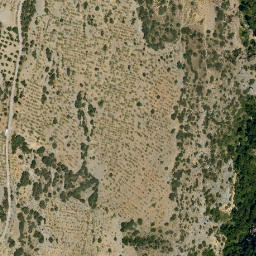 Satellite imagery of survey_point, DZ