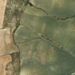 Satellite imagery of survey_point, DZ