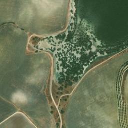 Satellite imagery of survey_point, DZ