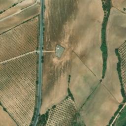 Satellite imagery of survey_point, DZ