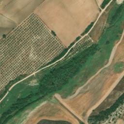 Satellite imagery of survey_point, DZ