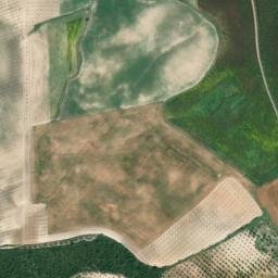 Satellite imagery of survey_point, DZ