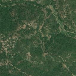 Satellite imagery of survey_point, DZ