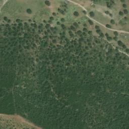 Satellite imagery of survey_point, DZ