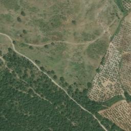 Satellite imagery of survey_point, DZ