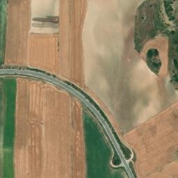 Satellite imagery of survey_point, DZ