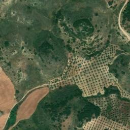 Satellite imagery of survey_point, DZ