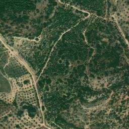 Satellite imagery of survey_point, DZ