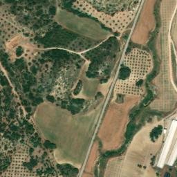 Satellite imagery of survey_point, DZ
