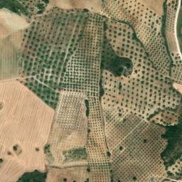 Satellite imagery of survey_point, DZ