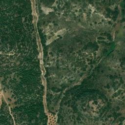 Satellite imagery of survey_point, DZ
