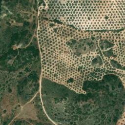 Satellite imagery of survey_point, DZ