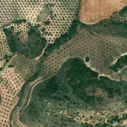Satellite imagery of survey_point, DZ