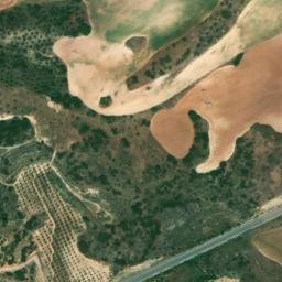 Satellite imagery of survey_point, DZ