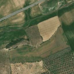 Satellite imagery of survey_point, DZ