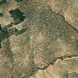 Satellite imagery of survey_point, DZ