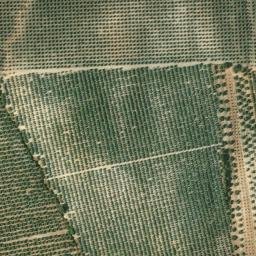 Satellite imagery of survey_point, DZ