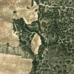 Satellite imagery of survey_point, DZ