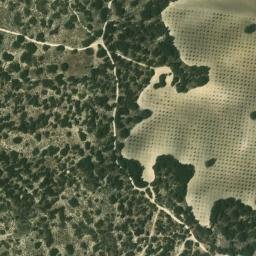 Satellite imagery of survey_point, DZ