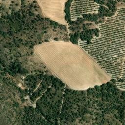 Satellite imagery of survey_point, DZ