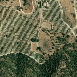 Satellite imagery of survey_point, DZ