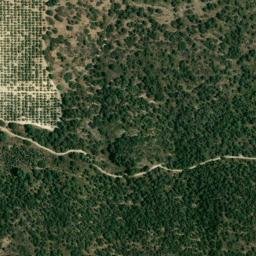 Satellite imagery of survey_point, DZ